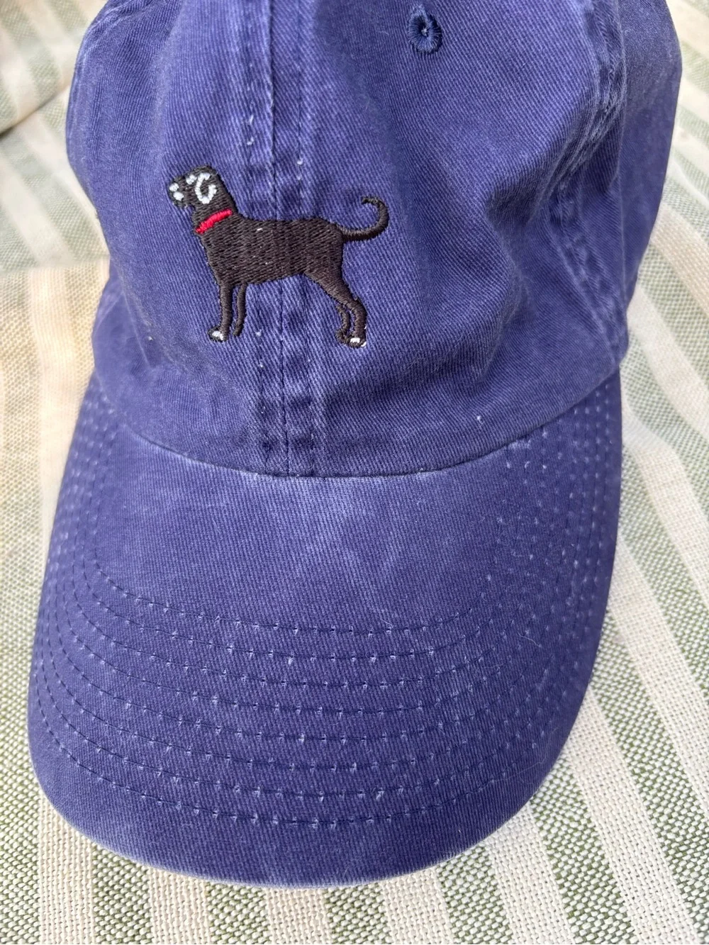The Black Dog color delivers